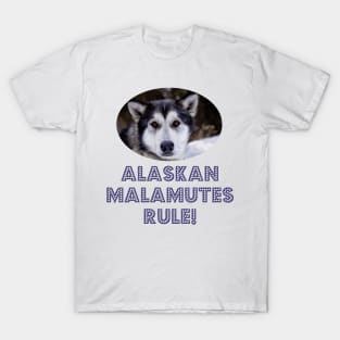 Alaskan Malamutes Rule! T-Shirt